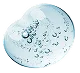 Marine Collagen
